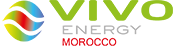 logo vivo energy maroc